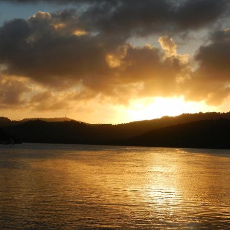 Cozy T2 Calme Au Coeur De La Nature 拉特里尼泰 外观 照片