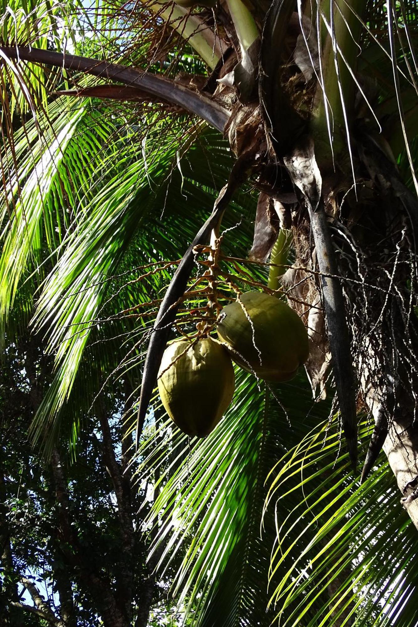 Cozy T2 Calme Au Coeur De La Nature 拉特里尼泰 外观 照片